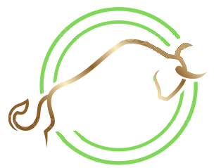 JSE Pulse logo